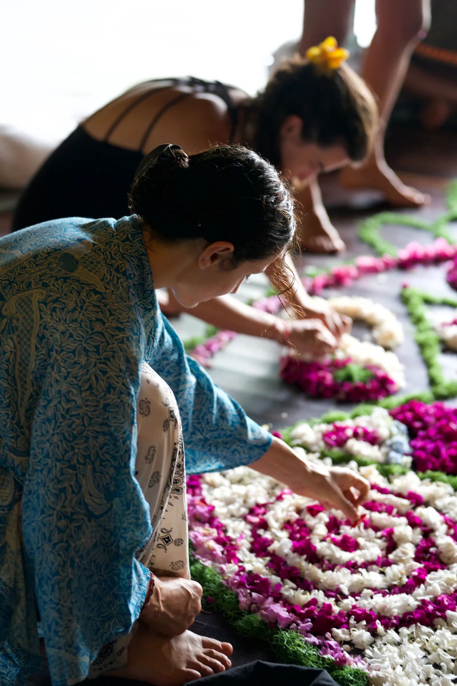 Frangipani offerings